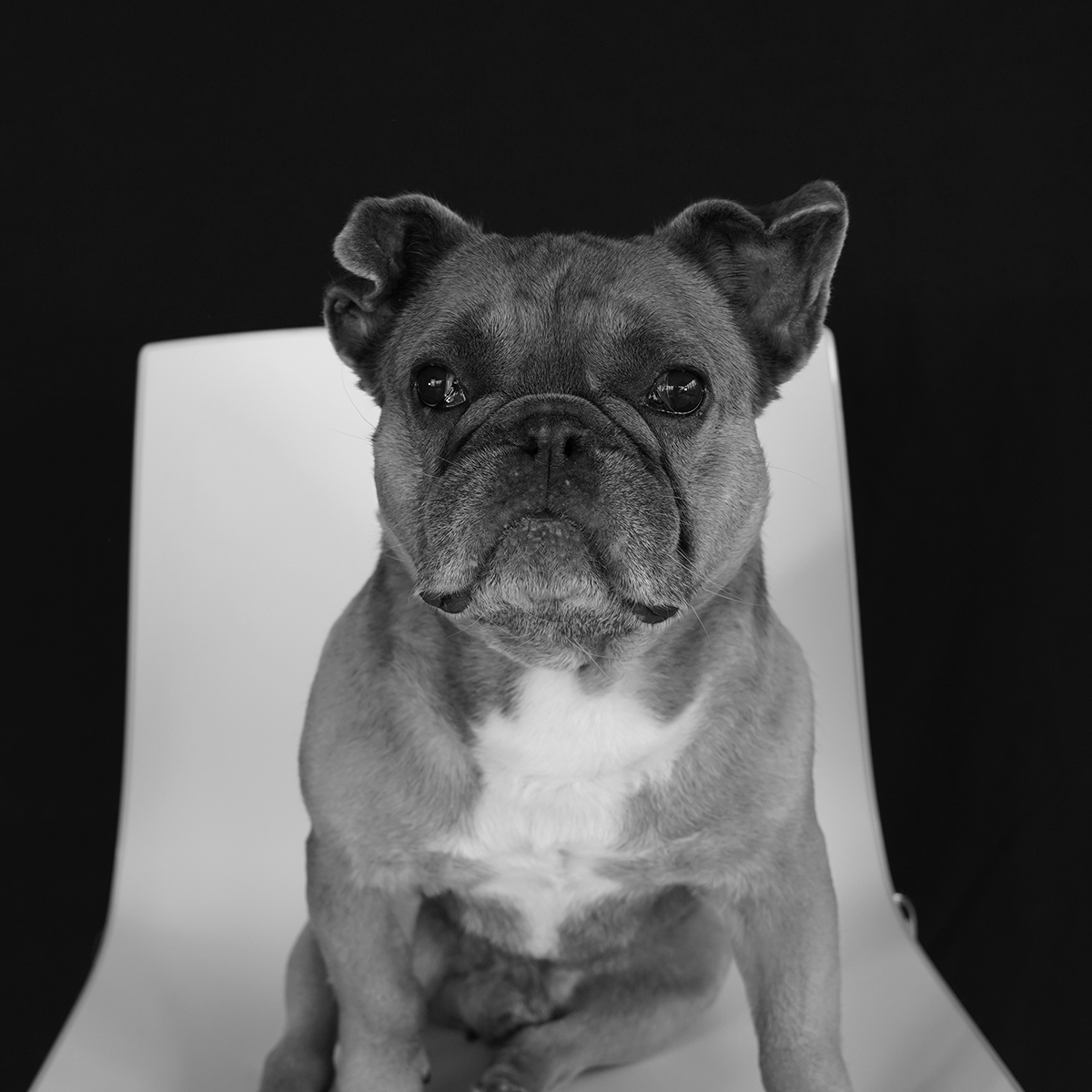 Milow