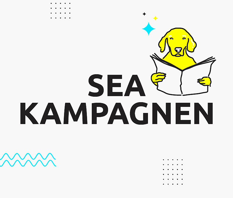 SEA-Kampagnen