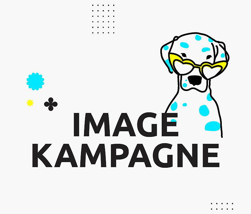 Die wichtigsten Elemente einer erfolgreichen Imagekampagne